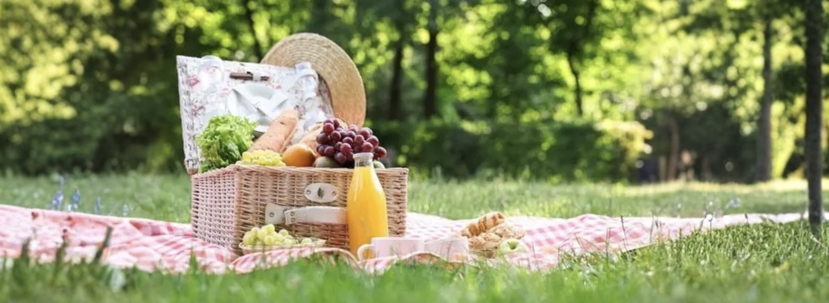 Family Picnic at Frontier Park, Aintree